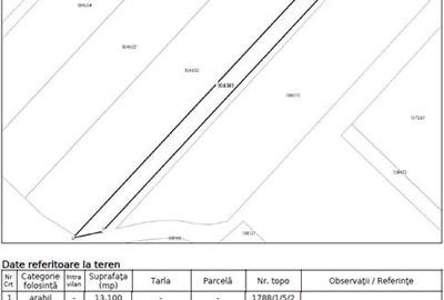 Teren agricol extravilan de 13100 mp, în Bod - 6