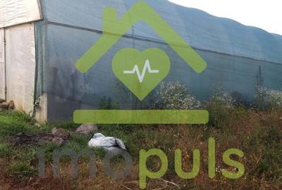 ? Teren intravilan in Jupani (Timis), 10,19 Euro/mp.? - 6