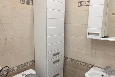 Apartament 1 camera de inchiriat in zona Someseni - 3