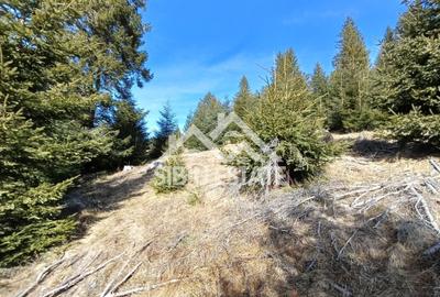 Teren agricol extravilan de 2733 mp, în Pianu de Sus - 1