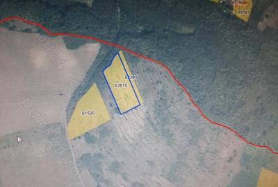 Teren de 1000 mp, în Comarna - 5