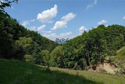 Teren de 5727 mp, în Buceș - 13