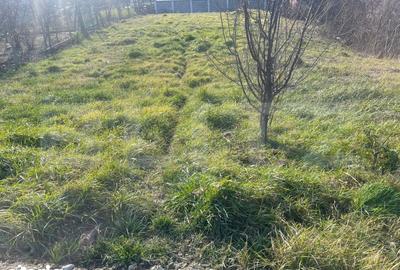 Teren de 600 mp, în Central