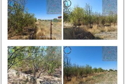 Casă în Central - 4