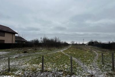 Teren de 10000 mp, în Coșoveni - 4