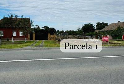 AV622 Teren intravilan, ORTISOARA, 2 parcele, toate utilitatile - 2