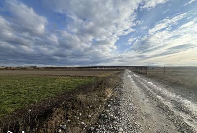 Teren de 11510 mp, în Sânmartin - 6