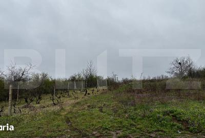 Teren de 2000 mp, în Coșoveni - 3
