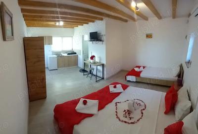 Investi?ie Profitabila Pensiune la 600 m de mare Recenzii excelente! - 5