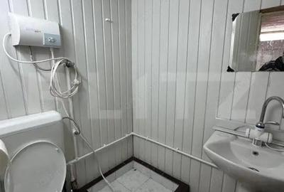 Casa de vacanta de vanzare, in Lisnau - Comuna Ozun - 5