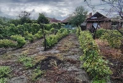 Casă cu 6 camere cu Teren 6000 Mp în Diviciorii Mici - 2