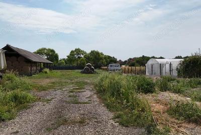 Teren de 3413 mp, în Dudeștii Noi - 5