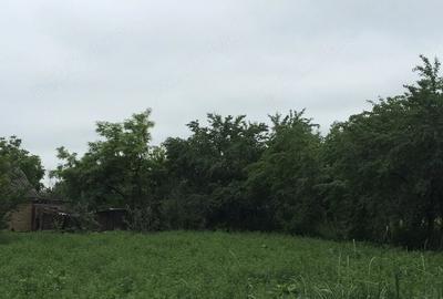 Casă cu Teren 2520 Mp în Moreni - 9