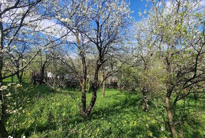 Teren de 1000 mp, în Ghioșești - 6