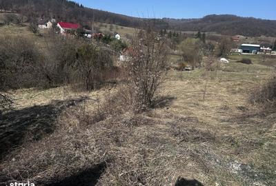 Teren de 350 mp, în Unirea - 1