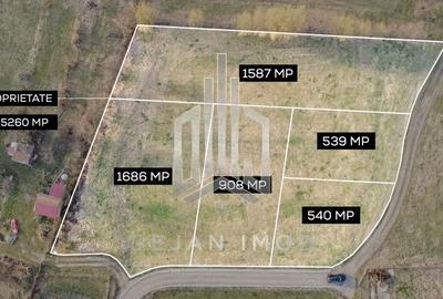 Teren de 5260 mp, în Reci - 1