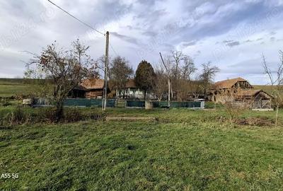 Casă cu 2 camere în Șăulia - 4