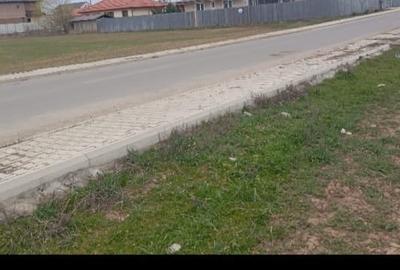 Teren Construcții intravilan de 11700 mp, în Dragomirești-Deal - 1