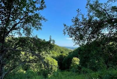 Teren de 9409 mp, în Roșia - 9