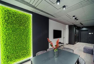 1 camera in zona Dumbravita - 2