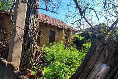 Casă cu 3 camere cu Teren 1853 Mp în Rogova - 5