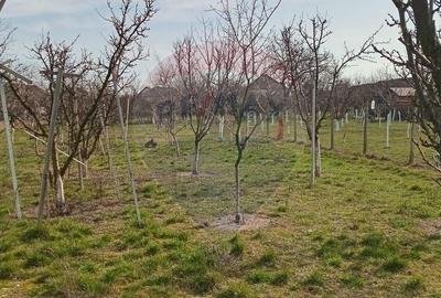 Spațiu comercial, în Vladimirescu - 3