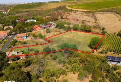 Spațiu comercial, în Miniș - 11