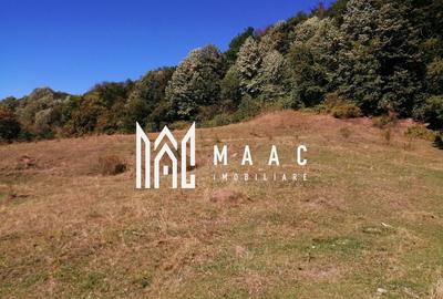 Teren Extravilan 20.000Mp I Stoenești -Vâlcea I Apă Curentă și Pădure - 13