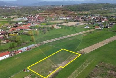 Teren de 1343 mp, în Cătălina - 6