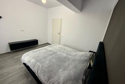 Apartament cu 2 camere nedecomandat, mobilat în Exercițiu - 6
