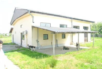 Casa 141mp, teren 6.000 mp, Cateasca - Gruiu - 8