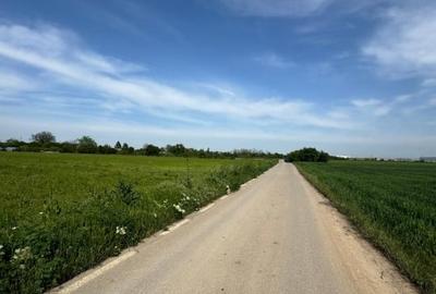 Teren agricol intravilan de 5000 mp, în Ulmi - 4