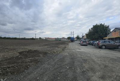 Teren de vanzare in Ovidiu - 4