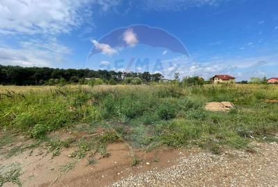 Teren Snagov adiacent Complex Sportiv Snagov - 3