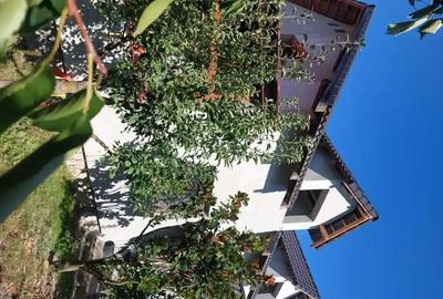 Casă cu 5 camere cu Teren 800 Mp în Giarmata - 3