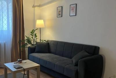 Apartament de 2 camere ( Complet Renovat )-Titulescu-Victoriei - 5
