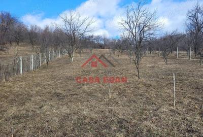 Casă cu Teren 2991 Mp în Cornu - 8