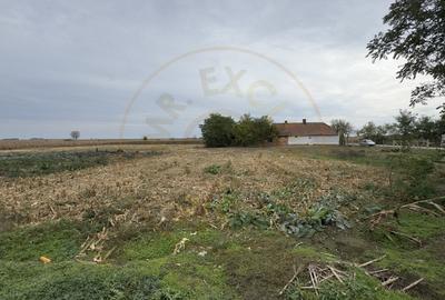 Casa individuala 3 camere, Teren 1439 mp Loc. Berea Jud. Satu Mare Casa individuala 3 camere, Teren 1439 mp Loc. Berea Jud. Satu Mare - 10