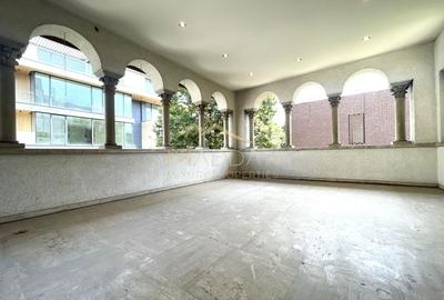 4 rooms ***203 SQM useful*** / 38 SQM terrace + garage / Primaverii - 18