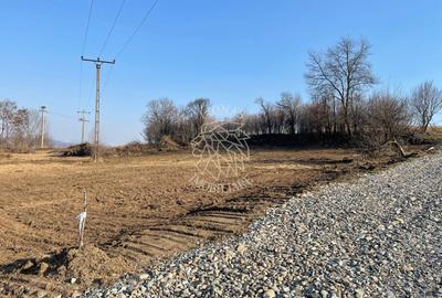 Teren Construcții extravilan de 1000 mp, în Sigmir - 1