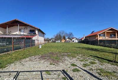 Teren de 1000 mp, în Snagov - 6