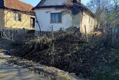 Casă cu Teren 2900 Mp în Iaz - 1