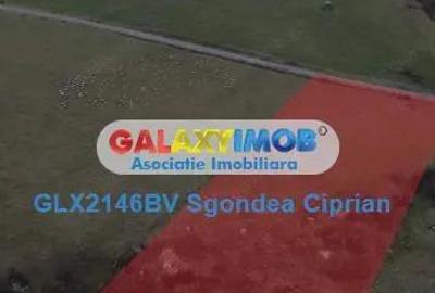 Teren Intravilan Sohodol 5 km Bran 10000 Mp - 2