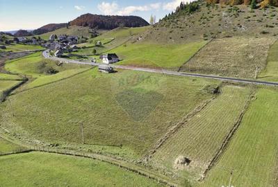 Teren de 4000 mp, în Fundata - 4
