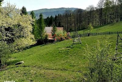 Teren de 23000 mp, în Valea Doftanei - 2