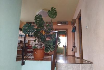 Proprietate cu 2 cladiri in Chisineu Cris - ID : RH-41243-property - 4