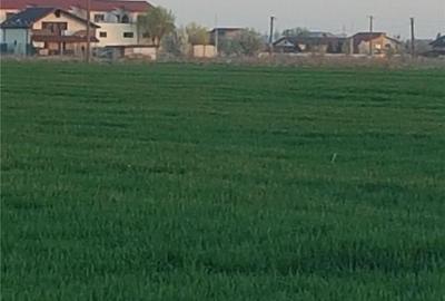 Teren de 5535 mp, în Central - 7