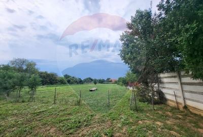 Vanzare AFACERE PROFITABILA si IMOBIL 324 mp cu teren 5077 mp Ghioroc - 9