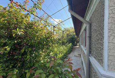 Casă cu 3 camere cu Teren 501 Mp în Pasărea - 5