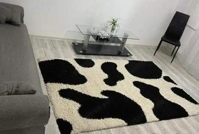 Apartament cu 2 camere semidecomandat în Aradului